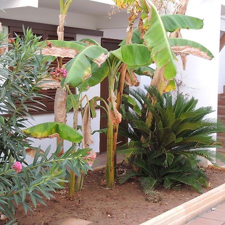 Apartamentos Sal Rossa Ibiza Town Dış mekan fotoğraf