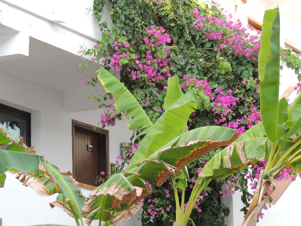 Apartamentos Sal Rossa Ibiza Town Dış mekan fotoğraf
